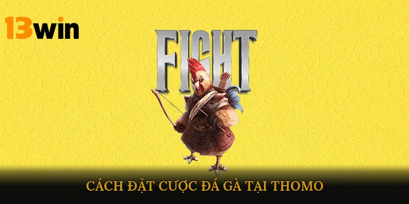 Cách đặt cược đá gà tại Thomo