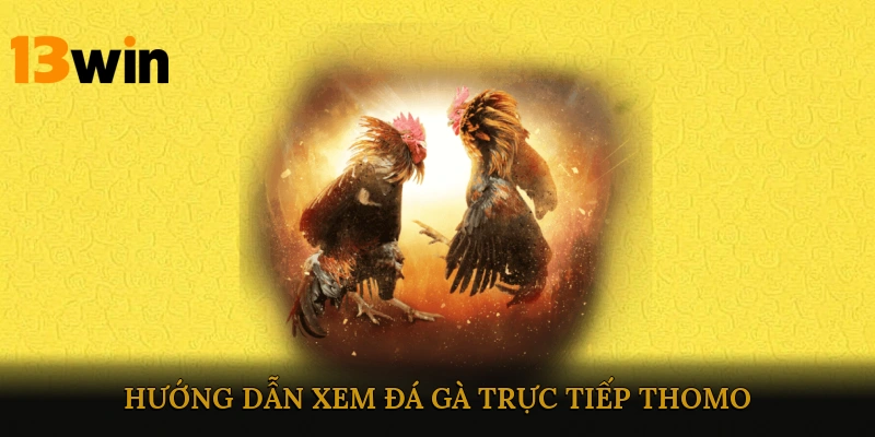 Hướng dẫn xem đá gà trực tiếp Thomo