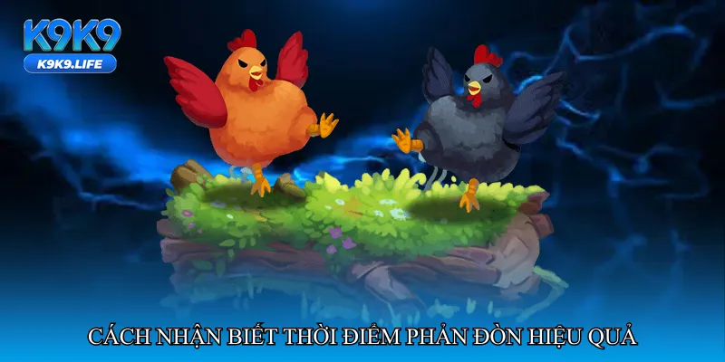 Cách nhận biết thời điểm phản đòn hiệu quả