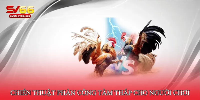 Chiến thuật phản công tầm thấp cho người chơi