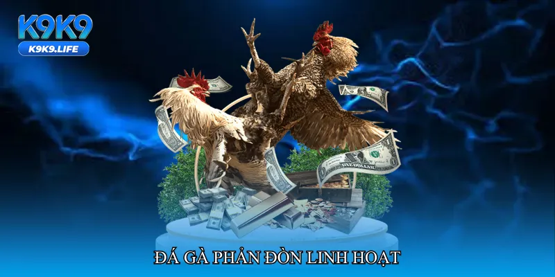 Đá gà phản đòn linh hoạt