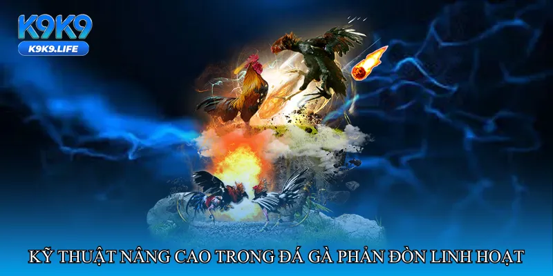 Kỹ thuật nâng cao trong đá gà phản đòn linh hoạt