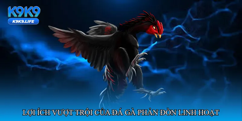 Lợi ích vượt trội của đá gà phản đòn linh hoạt