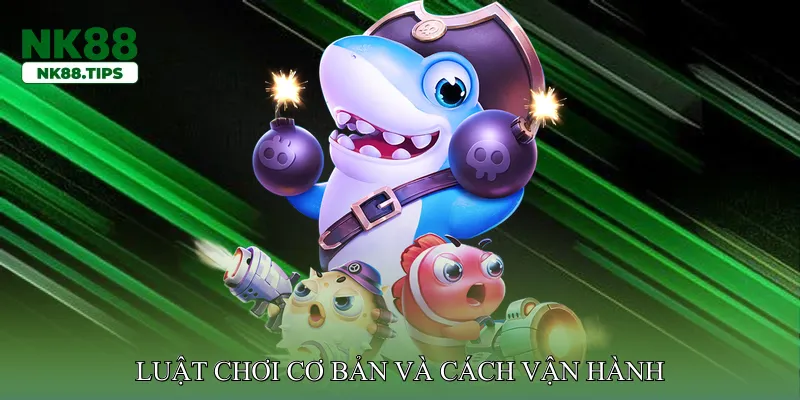 Luật chơi cơ bản và cách vận hành