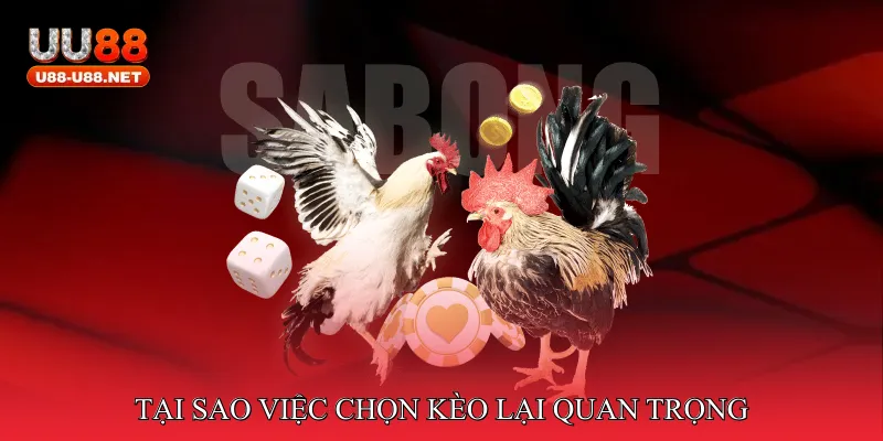Tại sao việc chọn kèo lại quan trọng