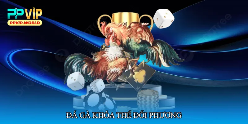 Đá gà khóa thế đối phương