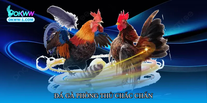 Đá gà phòng thủ chắc chắn