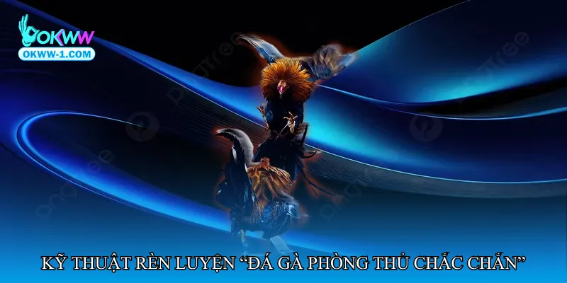 Kỹ thuật rèn luyện “Đá gà phòng thủ chắc chắn”