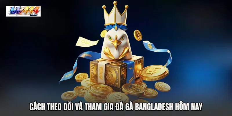 Cách theo dõi và tham gia Đá gà Bangladesh hôm nay