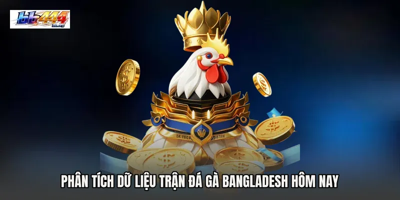Phân tích dữ liệu trận Đá gà Bangladesh hôm nay