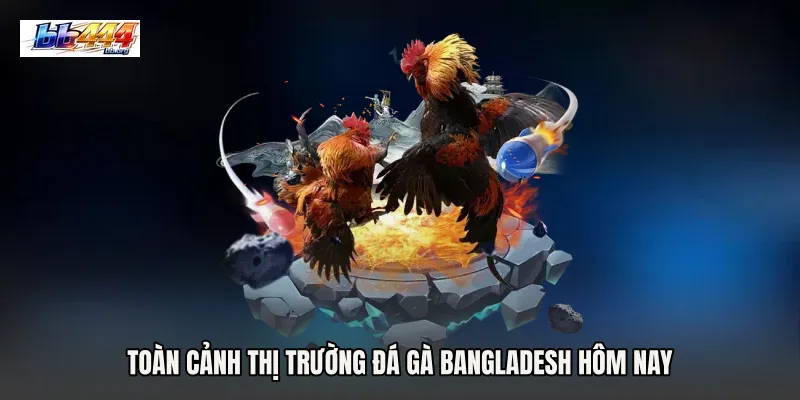 Toàn cảnh thị trường Đá gà Bangladesh hôm nay